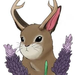 Meet your Posher, Maranda